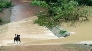 Tropical Storm Podul Hits Thailand Causing Flooding