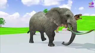 Long Slide Game with Cow Elephant Gorilla Hippopotamus Tiger 3d Animal Game Funny 3d Animals