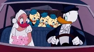 DONALD DUCK Cartoon ! Classic ENGLISH - DONALD DUCK CARTOON FULL EPISODES