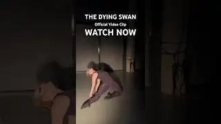 ⬆️Watch the full video clip now!⬆️ #ballet #music #art #maledancer #balletdancer #dancer #video