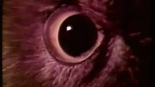 VINTAGE HIGBEE'S COMMERCIAL IN SLOW MOTION