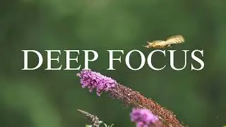 1 Hour of Minimal Atmospheric Audio to Create a Peaceful Study Zone and Eliminate Distractions RIDE