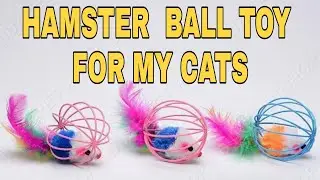 Pet Hamster Ball Toy for Cats / Unboxing/ Shoppee