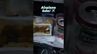American Airlines Flight - Miami to Barcelona June 2023 ✈️🍽️