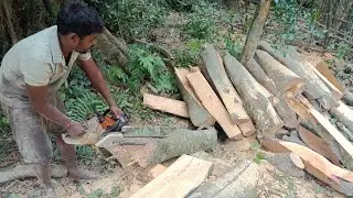 Chainsaw Operator Skills | Make Wood Board | Wood cutting machine stihl 