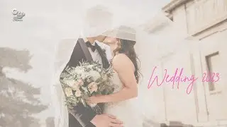 Wedding Best moments 2023 Daniel #c2pfilmes