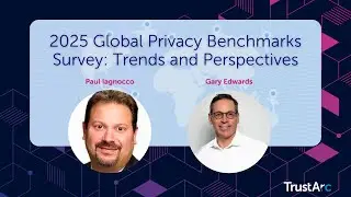 2025 Global Privacy Benchmarks Survey: Trends and Perspectives