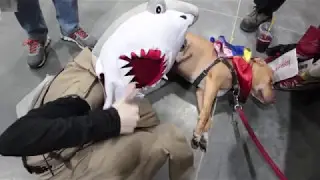 SharkCop at The Calgary Expo (2017) ~ AAFS Movie Project