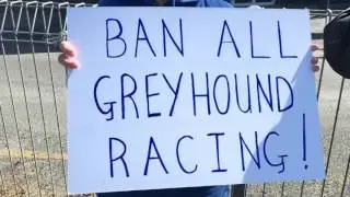 Locals protest greyhound racing
