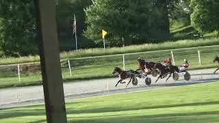 Nappanee Raceway 6-20-25 Always Watching wins in 1:13.2