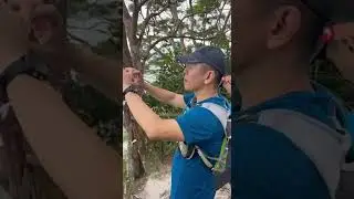 Unlock the Secrets of Gunung Panti: The Ultimate One-Day Adventure from Singapore You Can't Miss!
