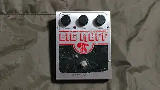 Hedgehog - BIG MUFF