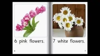 Learn to count flowers- identify colours
