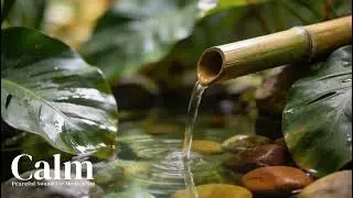 Nature's Quiet Gift : Bamboo Water Flow for Deep Relaxation