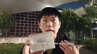 A piece of golden ginkgo tree | In English