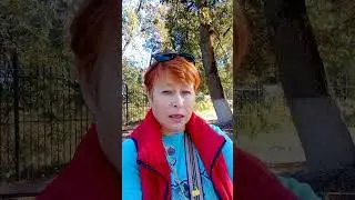 Возвраты товара продавцу на Озон.