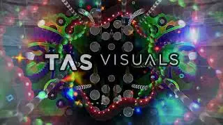 Killerwatts vs Spinal Fusion   Hilltopia   TAS Visuals