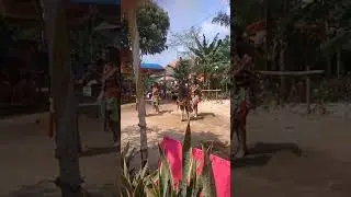live Mesuji sp6e, labuhan muliya