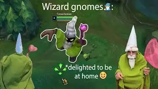 Mall Wizard Udyr Custom Skin