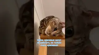 Очень красивые могут не работать, но только очень красивые! @marinash5315