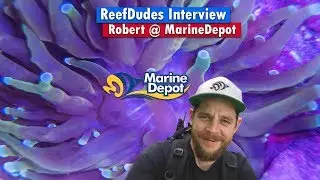 ReefDudes Interview - Robert from Marine Depot!