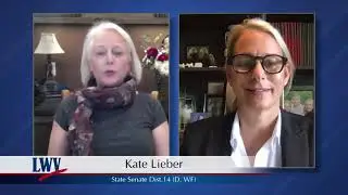 Video Voters Guide: Kate Lieber - State Senate Dist.14 (D, WF)