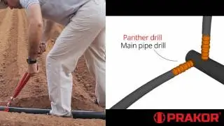 PRAKOR - Drip Irrigation Installation example