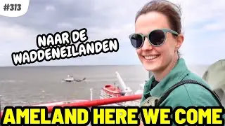 #313 WE GAAN NAAR WADDENEILAND AMELAND 💙
