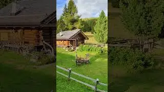 Baita immersa nel verde delle Dolomiti #montagnaestate #trentino #baita #chalet #dolomiti