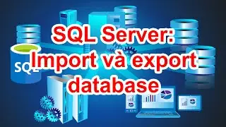 SQL Server - Cách import and export database