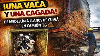 ¡UNA VACA Y UNA CAGADA! La travesía más loca en MI CAMION 🚛💩🐄