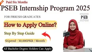 How to Apply for PSEB Paid Internships 2025 | Step-by-Step Guide Pakistan Software Export Board