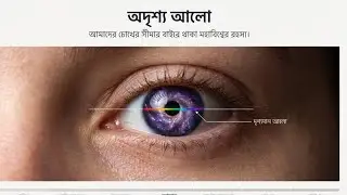 অদৃশ্য আলো: Invisible Light এর রহস্য | Gamma, X-ray, UV, Microwave Explained | Behind The Science&rdquo;