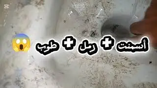 كارثة بعد تشطيب سباكة الحمام 😱 القاعدة البلدي مسدودة أثناء التجربة!