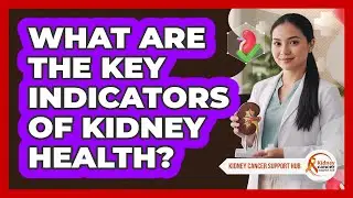 What Are The Key Indicators Of Kidney Health?