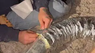 Full Roof Transformation | Owens Corning Duration Shingles | Gutters & Insulation Upgrade