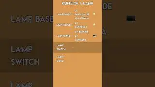 Spanish Home Decor Vocabulary: Parts of a Lamp! 💡🛋️