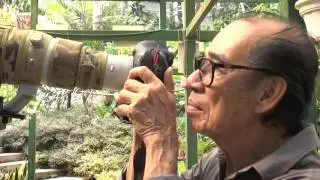 Birding: More than just hobby