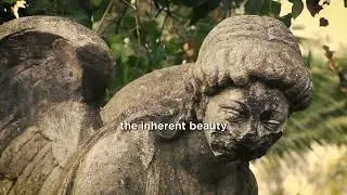 Finding Beauty in Imperfection | Wabi-Sabi Philosophy
