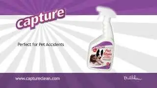 Capture Pet Stain & Odor Neutralizer