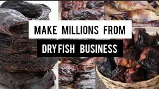 Start A Profitable Dry Fish Business In Nigeria With These Steps/gifty E hub