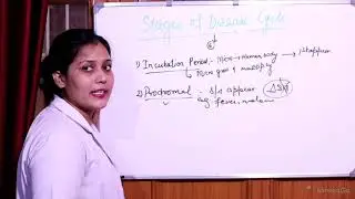Stages of Disease Cycle