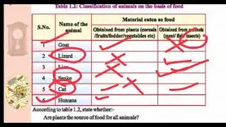 #Reet level -2 #Science and Maths #RBSE Class 6 Science English Medium chapter 1 part-1