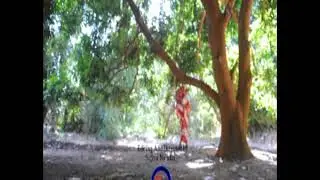Hausa films sahabi oumar Niger