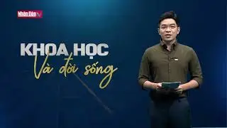 Nh&acirc;n D&acirc;n TV: C&ocirc;ng nghệ đưa thế giới số ra đời thực đến từ Hololab