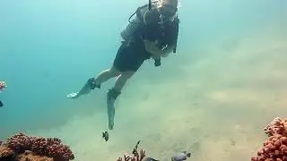 Scuba Diving | Dahab underwater art