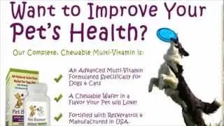 pet bounce multi vitamin review:Watch this before you buy pet bounce multi-vitamin