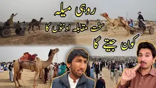 Rohi Mela🐫 Sakht Muqabala😱 اونٹوں 🐫 Ka Kon Jeeta Ga🤔 @malikrizwan556