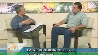Vantagens e Desvantagens da Intensifica&ccedil;&atilde;o Pecu&aacute;ria