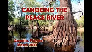 Canoeing down the Peace River in Arcadia Florida